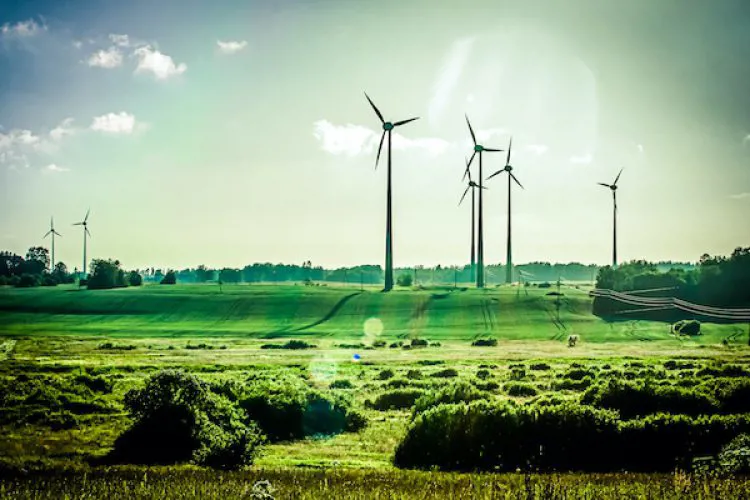 Windmills on a green field