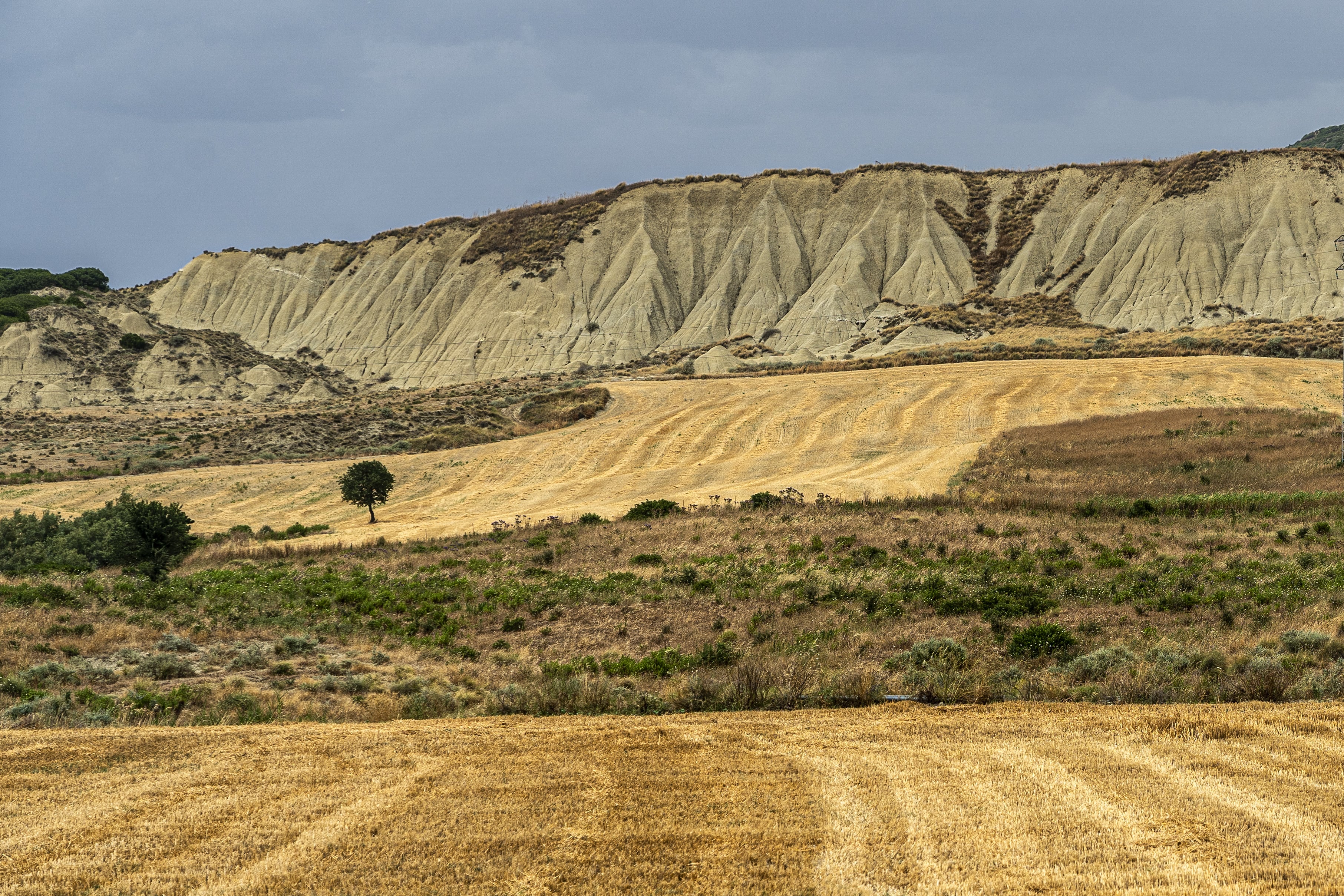 Scenic rural landscape with rolling hills