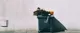 Green cardboard bin