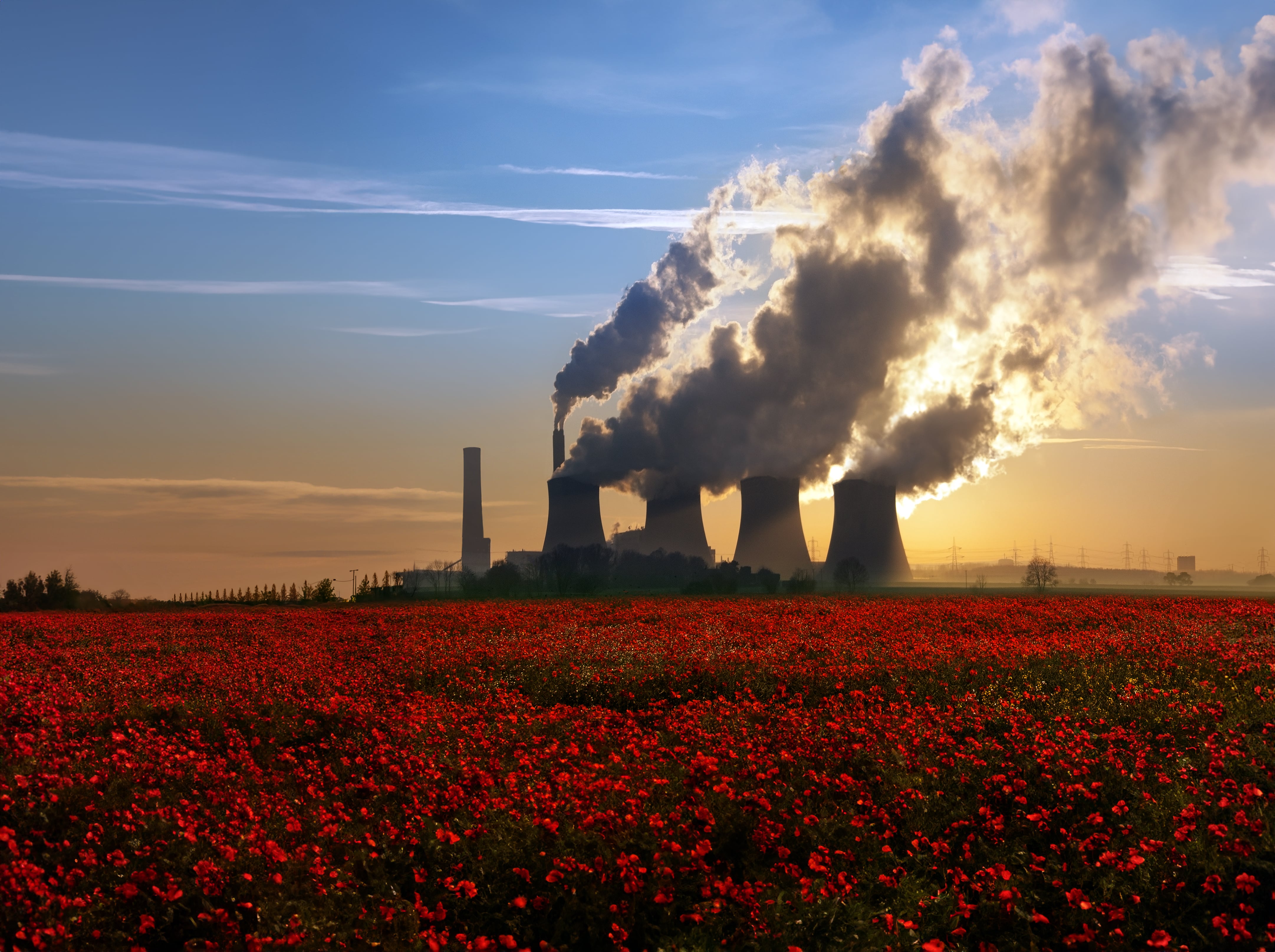 Cooling towers of a power station in front of red flowers, during a vibrant sunset